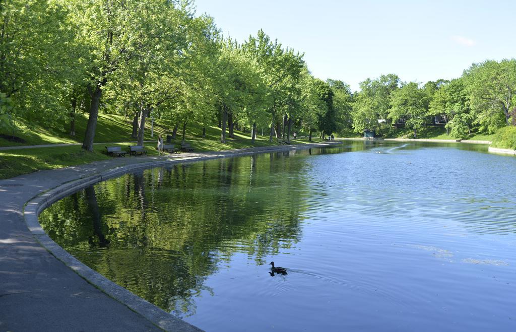 Auberge De La Fontaine Montreal Zewnętrze zdjęcie